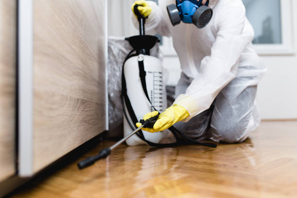 Pest Prevention Services in Lilburn, GA