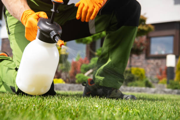Best Emergency Pest Control  in Lilburn, GA