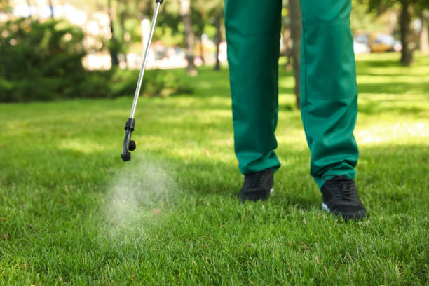 Best Termite Control Services  in Lilburn, GA
