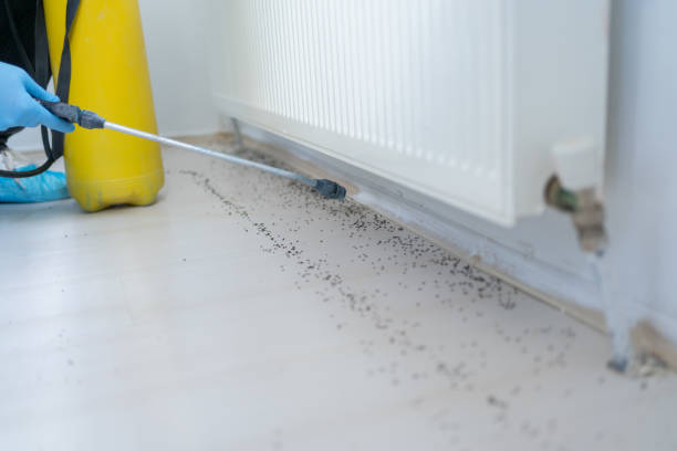 Best Bed Bug Extermination  in Lilburn, GA