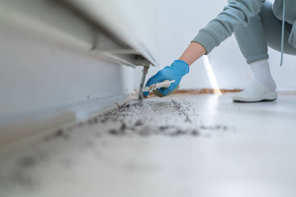 Best Pest Removal Services  in Lilburn, GA